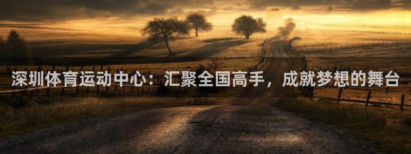 千亿国际官网下载娱乐:深圳体育运动中心:汇聚全国高手,成就梦